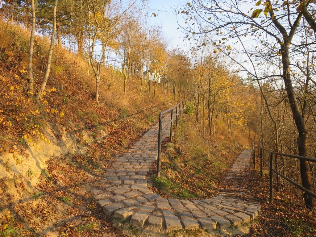 Szőnyi úti vendégház Zebegény Exterior foto